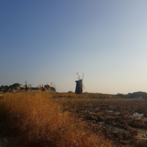 스마트폰 발열 줄이는 설정 꿀팁