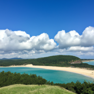 감자 껍질 안 튀게 벗기는 물 조절법