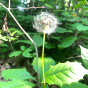 계란껍질 깨끗하게 벗기는 삶는 비율 계란껍질 깨끗하게 벗기는 삶는 비율