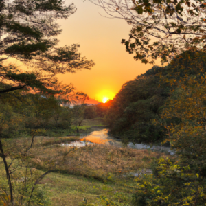 장롱 틈 새 안 쌓이게 막는 박스 활용 꿀팁