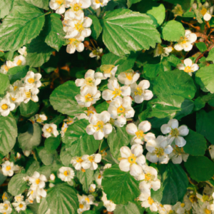 양치컵 곰팡이 안 생기게 보관하는 물기 제거법 양치컵 곰팡이 안 생기게 보관하는 물기 제거법