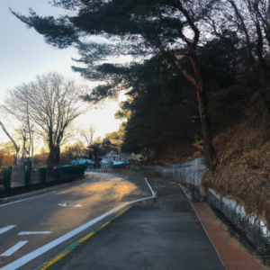 전자레인지에 터지지 않게 데우는 음식 랩 팁