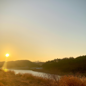 거실 러그 청소법, 먼지 날리지 않고 세척하는 방법 거실 러그 청소법, 먼지 날리지 않고 세척하는 방법