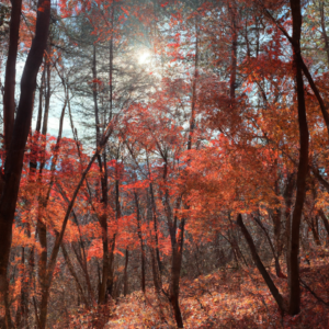 바닥 찌든 때 지우는 천연 조합 청소 레시피 바닥 찌든 때 지우는 천연 조합 청소 레시피