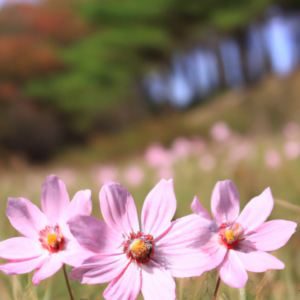 양념통 새지 않게 뚜껑 고정하는 실리콘 패킹 팁 양념통 새지 않게 뚜껑 고정하는 실리콘 패킹 팁