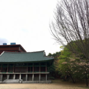 고무줄 늘어나지 않게 보관하는 밀폐 용기 활용법 고무줄 늘어나지 않게 보관하는 밀폐 용기 활용법