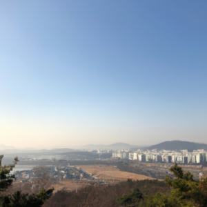칫솔 건조하면서 세균 번식 막는 수직 보관법 칫솔 건조하면서 세균 번식 막는 수직 보관법