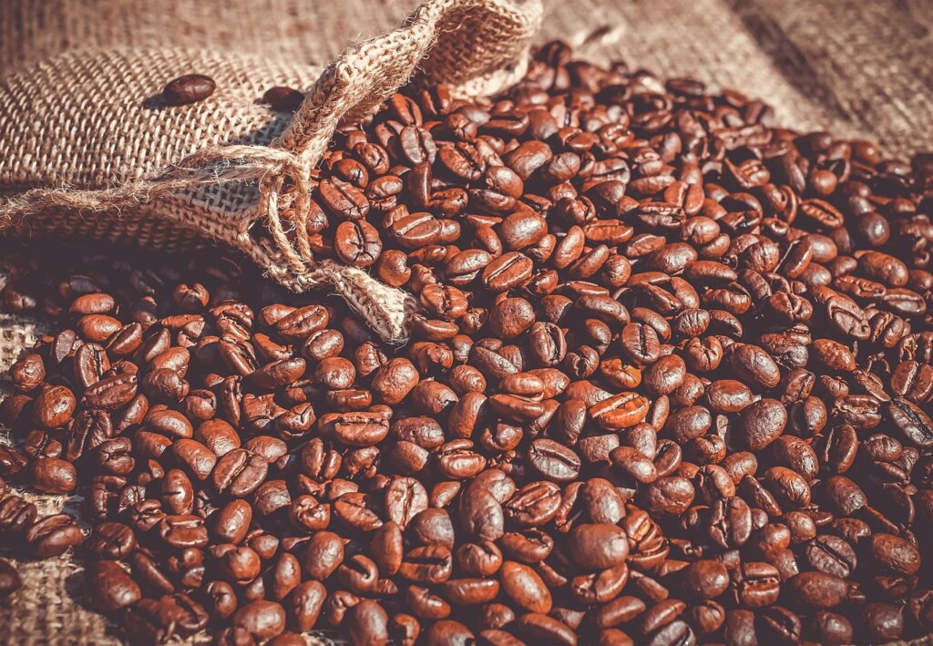 used coffee grounds in small dish and green tea bags inside refrigerator