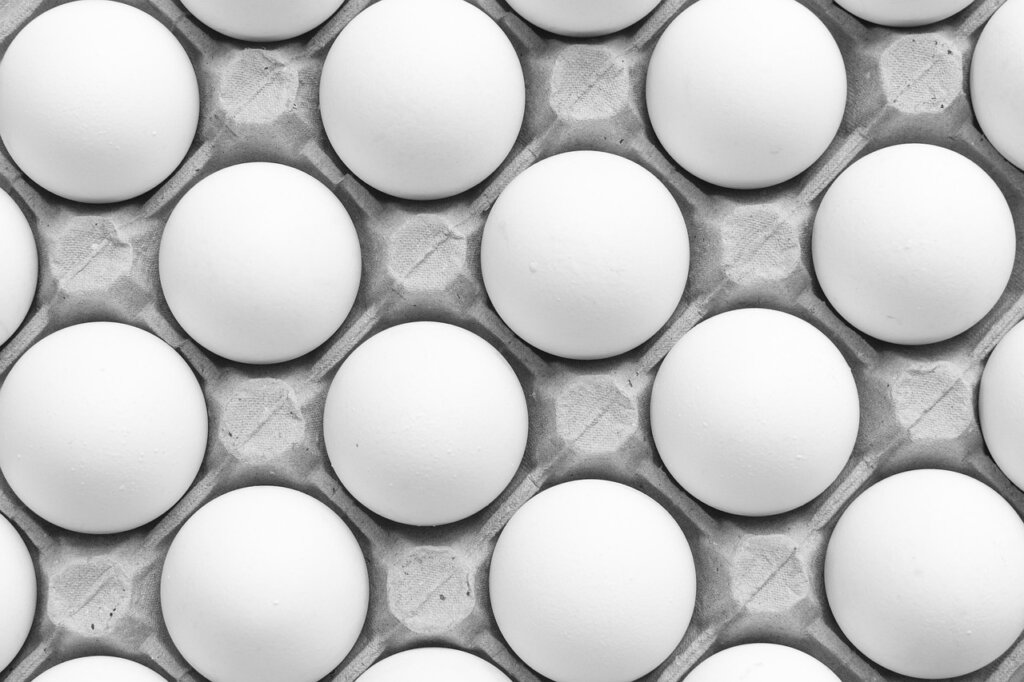 foods that should not be frozen like tofu eggs cucumber on white background