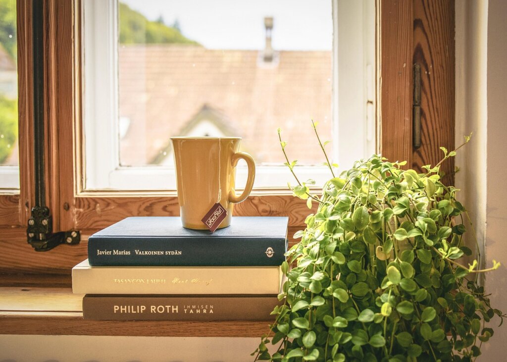 cinnamon line drawn along window sill to prevent ants