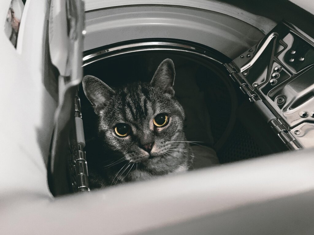 towels inside a tumble dryer drum