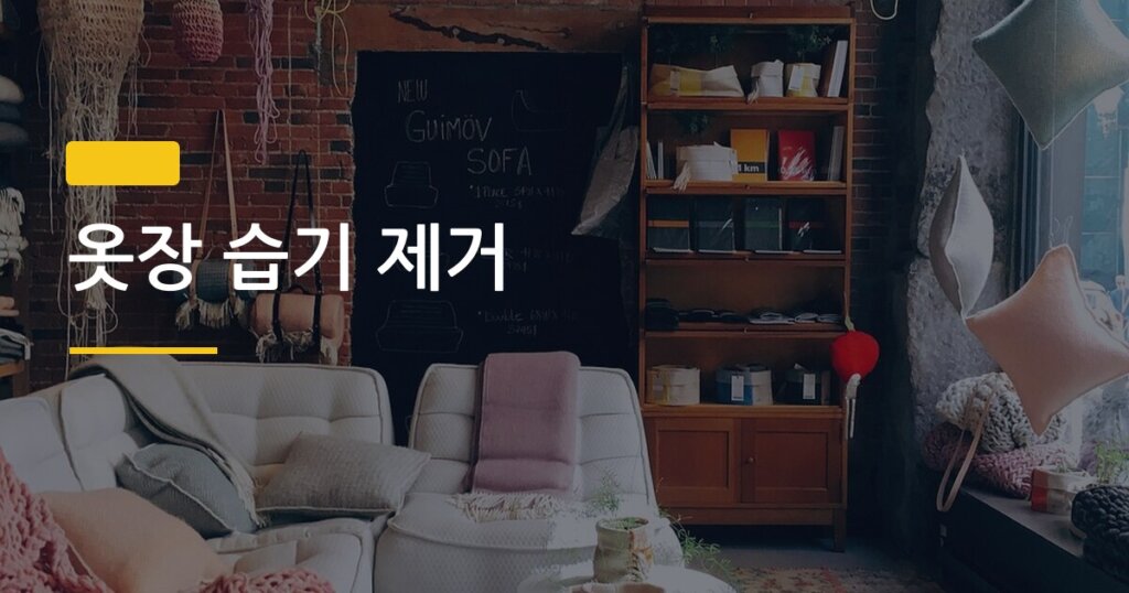 옷장 습기 제거, 습기 제거제 vs 신문지 뭐가 진짜 효과 있을까