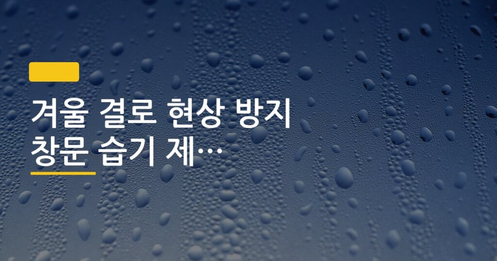 겨울 결로 현상 방지 창문 습기 제거 실천 방법