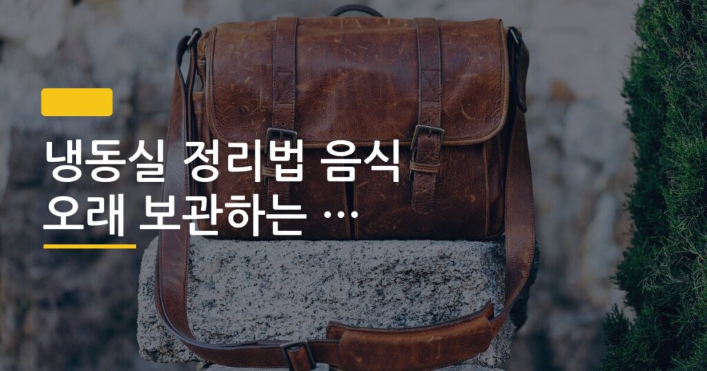 냉동실 정리법 음식 오래 보관하는 수납 방법 공개