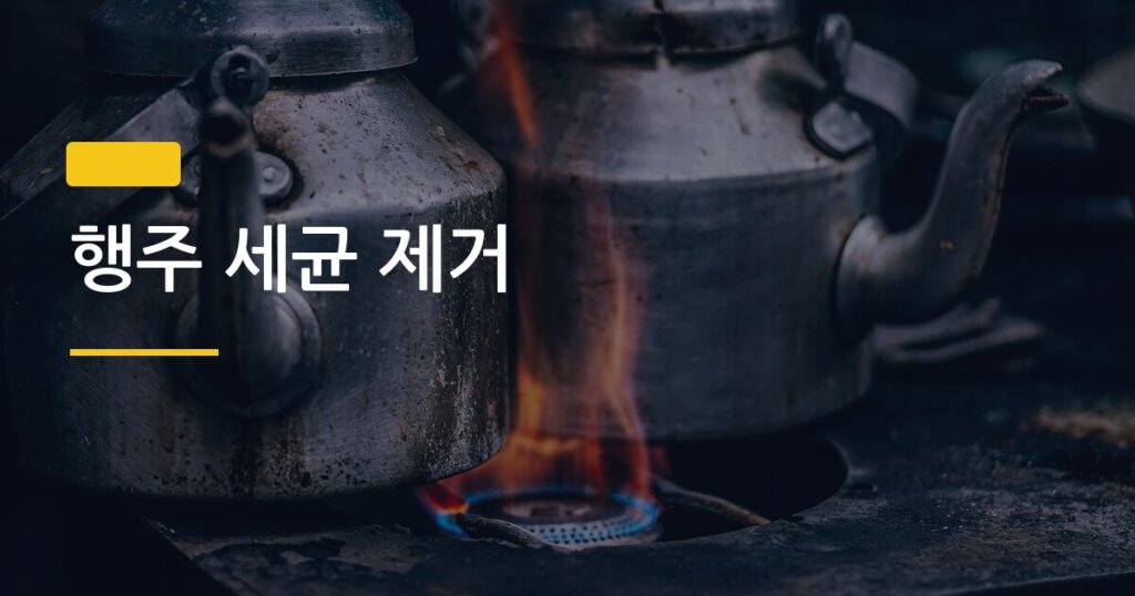 행주 세균 제거, 삶기 vs 전자레인지 어떤 방법이 더 효과 좋을까