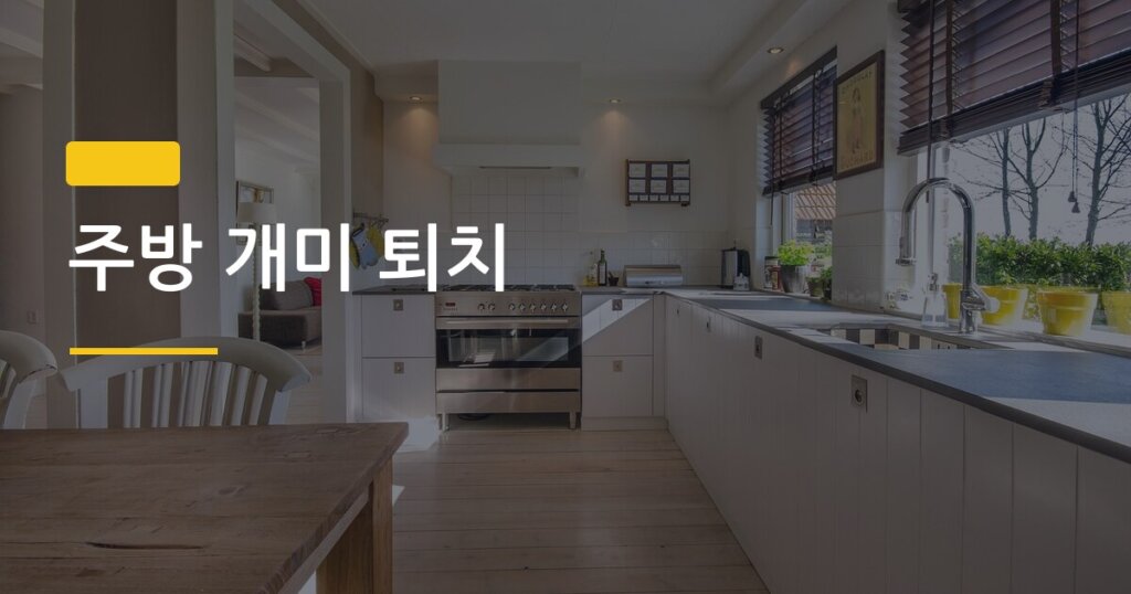 주방 개미 퇴치, 천연 재료 3가지로 일주일 만에 완전히 없앤 실제 후기