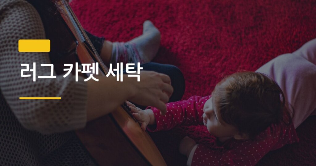 러그 카펫 세탁, 집에서 건조까지 완벽하게 끝내는 5단계 방법