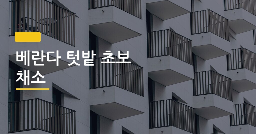 베란다 텃밭 초보 채소, 실패 없이 키운 5가지 솔직 후기