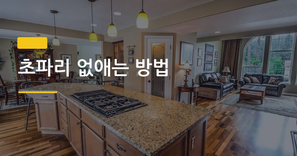 초파리 없애는 방법, 출장 다녀왔더니 싱크대가 초파리 지옥이었다