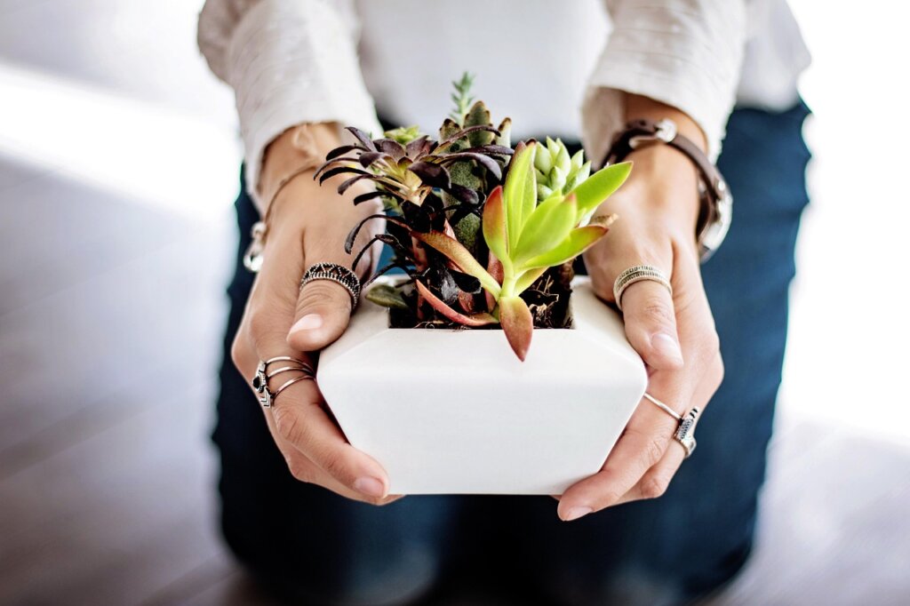finger test checking soil moisture in indoor plant pot