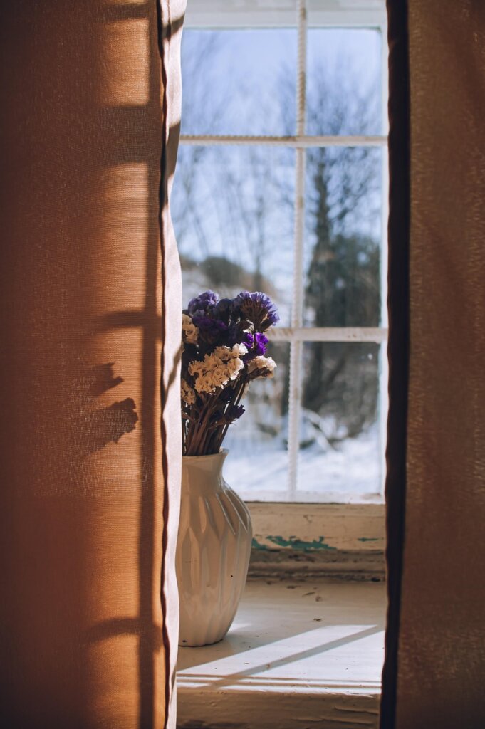 indoor plants near window in winter with dry heating air, soil moisture meter inserted