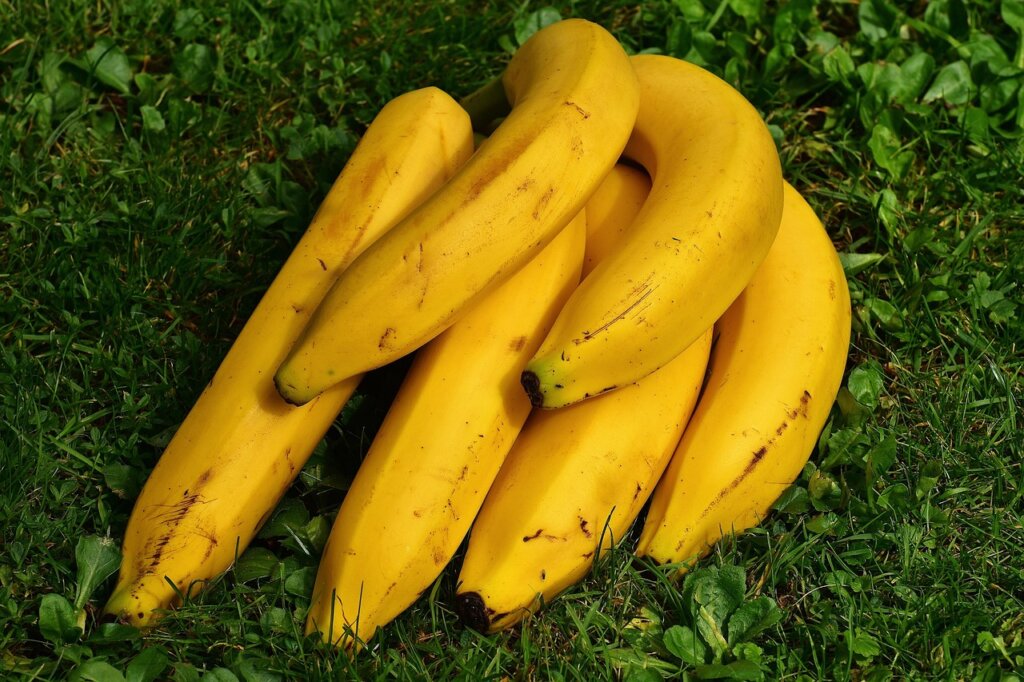 banana hanger with bunch of yellow bananas hanging in kitchen
