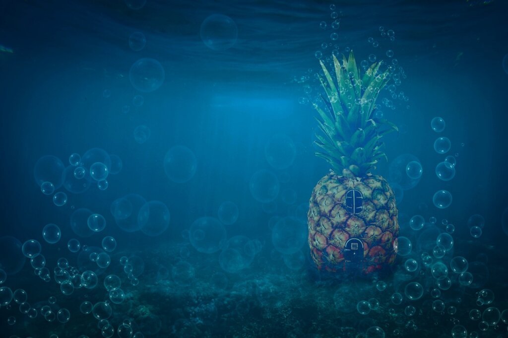 sponge bacteria test result under light