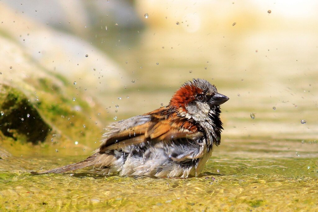 bathroom humidity steam after shower