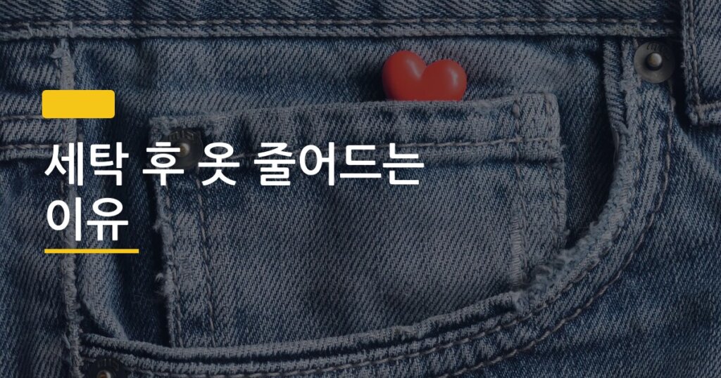 세탁 후 옷 줄어드는 이유, 소재별 완벽 정리로 두 번 다시 망치지 않는 법