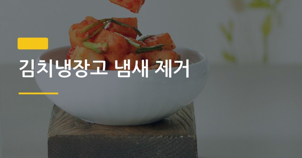 김치냉장고 냄새 제거, 청소 주기부터 직접 해본 방법까지 이게 진짜 답이었다