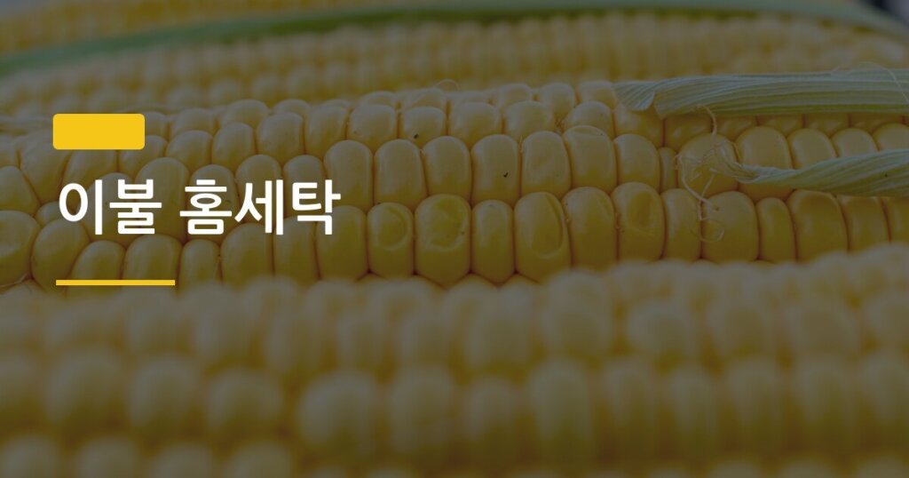 이불 홈세탁, 세탁기에 넣기 전 반드시 확인해야 할 것들과 완벽 건조 순서