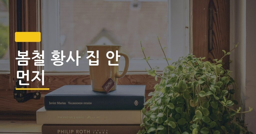 봄철 황사 집 안 먼지, 52세 자영업자가 직접 해본 실천 루틴 5가지