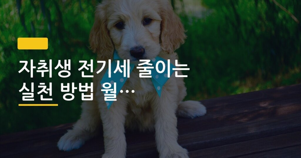 자취생 전기세 줄이는 실천 방법 월 고지서 비교 후기
