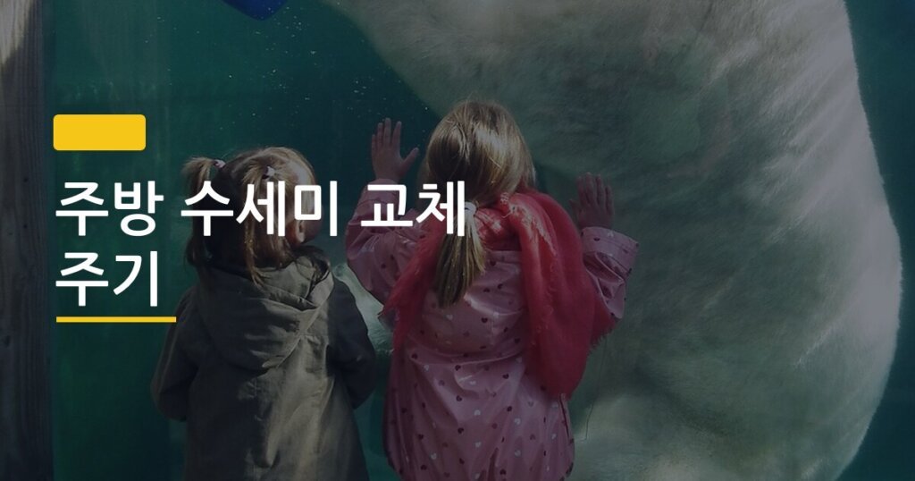 주방 수세미 교체 주기, 직접 실험해보니 2주가 한계였다